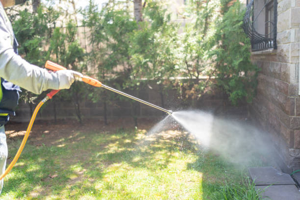 Professional Pest Control in North Lakes, AK